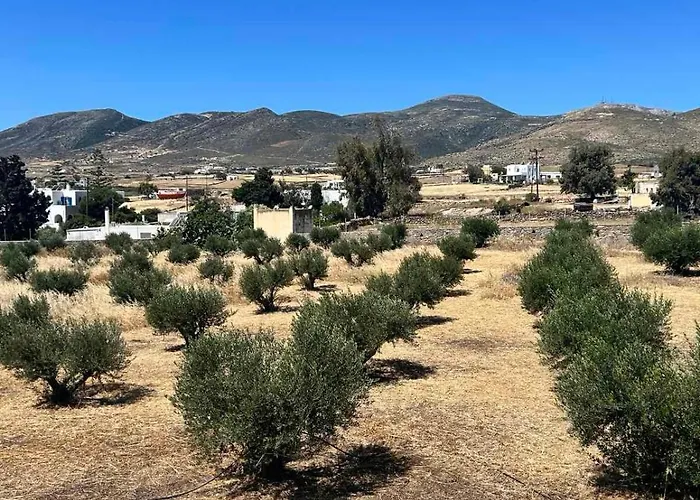 The Olive House * Μάρπησσα