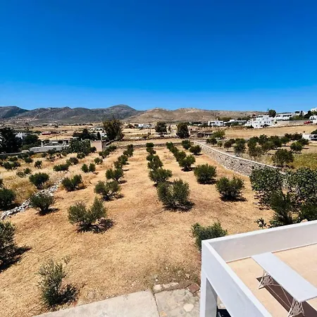 The Olive House *